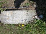 image of grave number 828552